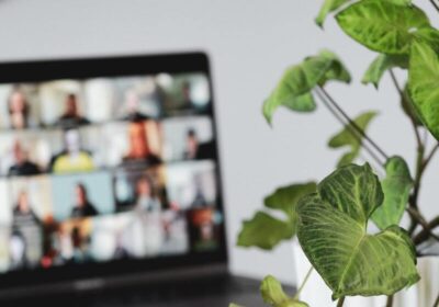 Blog Green plant in front of online meeting screen